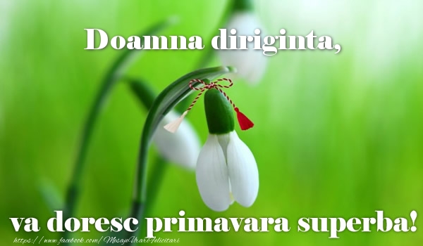 Felicitari de 1 Martie pentru Diriginta - Doamna diriginta va doresc primavara superba!