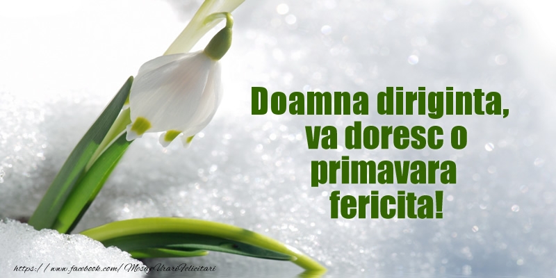Felicitari de 1 Martie pentru Diriginta - Doamna diriginta, va doresc o primavara fericita!