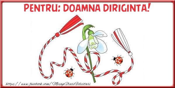 Felicitari de 1 Martie pentru Diriginta - Pentru doamna diriginta!