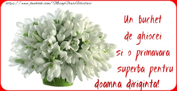 Felicitari de 1 Martie pentru Diriginta - Un buchet de ghiocei si o primavara superba pentru doamna diriginta