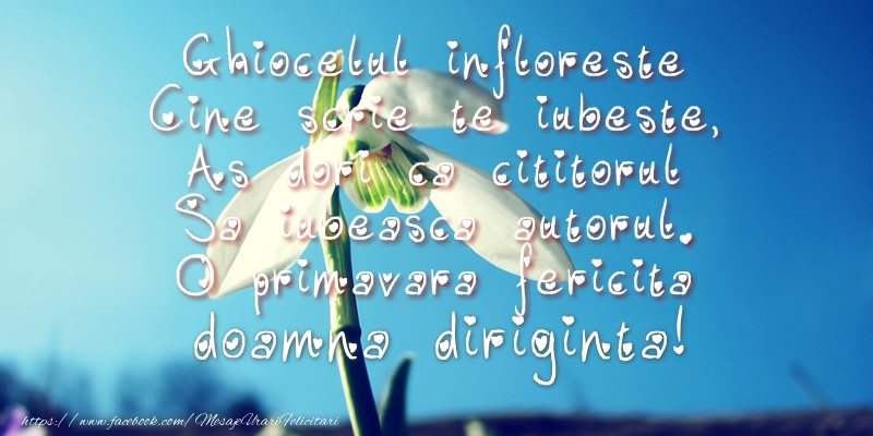 Felicitari de 1 Martie pentru Diriginta - Ghiocelul infloreste, Cine scrie te iubeste, As dori ca cititorul Sa iubeasca autorul. O primavara fericita doamna diriginta!