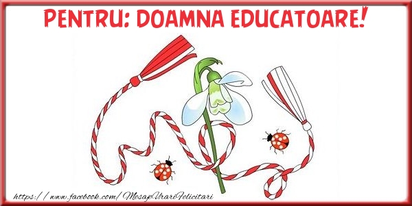 Felicitari de 1 Martie pentru Educatoare - Pentru doamna educatoare!