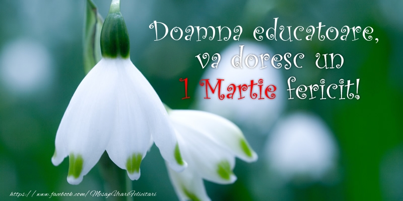 Felicitari de 1 Martie pentru Educatoare - Doamna educatoare va doresc un 1 Martie fericit!