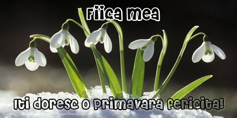 Felicitari de 1 Martie pentru Fata - Fiica mea Iti doresc o primavara fericita!