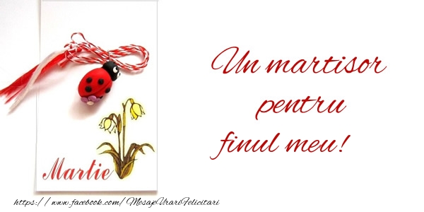 Felicitari de 1 Martie pentru Fin - Un martisor pentru finul meu!