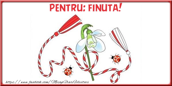 Felicitari de 1 Martie pentru Fina - Pentru finuta!