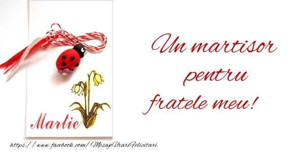 Felicitari de 1 Martie pentru Frate - Un martisor pentru fratele meu!