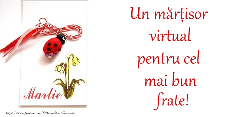 Felicitari de 1 Martie pentru Frate - Un mărțisor virtual pentru cel mai bun frate!