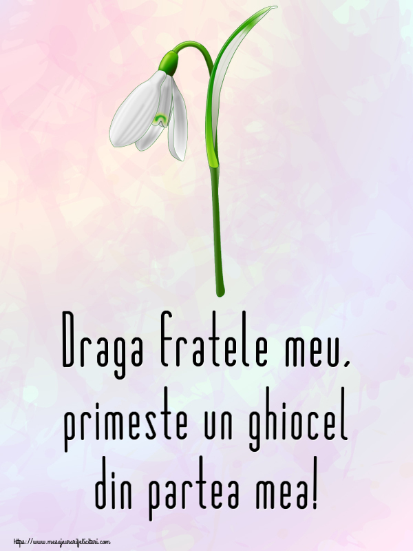Felicitari de 1 Martie pentru Frate - Draga fratele meu, primeste un ghiocel din partea mea!