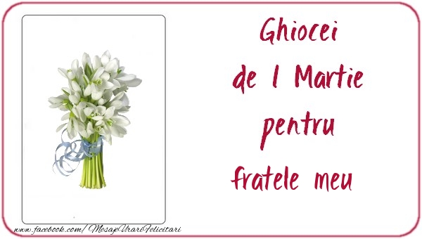 Felicitari de 1 Martie pentru Frate - Ghiocei de 1 Martie pentru fratele meu