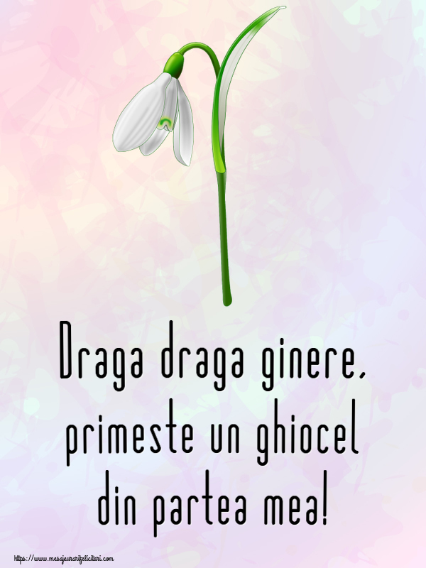 Felicitari de 1 Martie pentru Ginere - Draga draga ginere, primeste un ghiocel din partea mea!