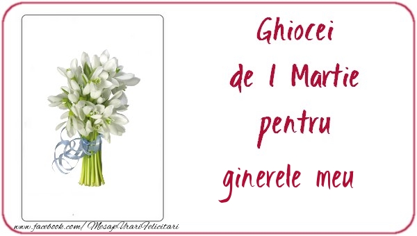 Felicitari de 1 Martie pentru Ginere - Ghiocei de 1 Martie pentru ginerele meu