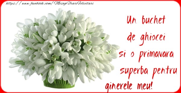 Felicitari de 1 Martie pentru Ginere - Un buchet de ghiocei si o primavara superba pentru ginerele meu