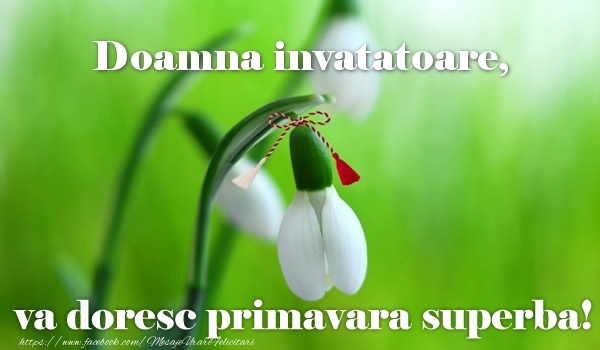 Felicitari de 1 Martie pentru Invatatoare - Doamna invatatoare va doresc primavara superba!