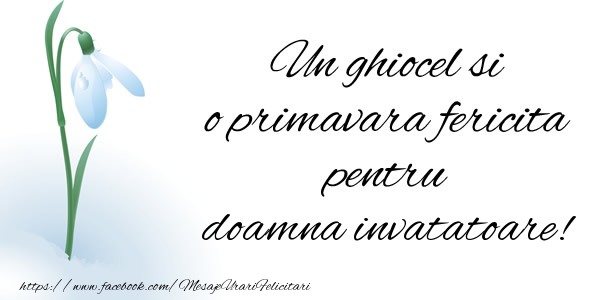 Felicitari de 1 Martie pentru Invatatoare - Un ghiocel si o primavara fericita pentru doamna invatatoare!