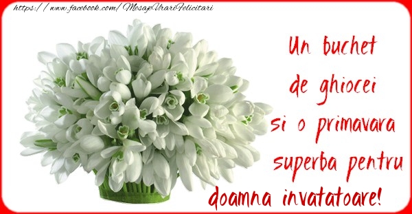 Felicitari de 1 Martie pentru Invatatoare - Un buchet de ghiocei si o primavara superba pentru doamna invatatoare