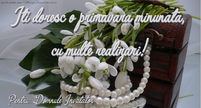Felicitari de 1 Martie pentru Invatator - Felicitare de 1 martie domnule invatator