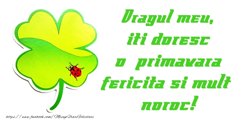 Felicitari de 1 Martie pentru Iubit - Dragul meu iti doresc o primavara fericita si mult noroc!