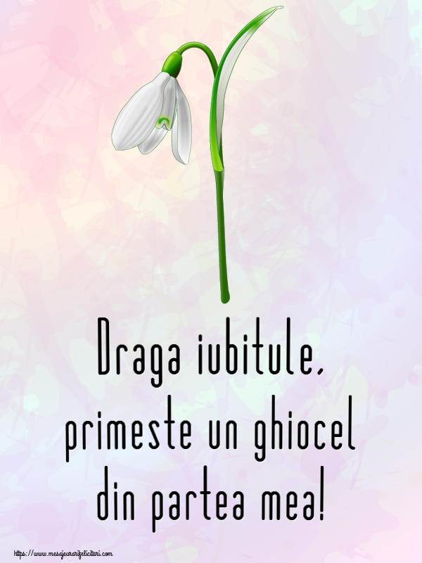 Felicitari de 1 Martie pentru Iubit - Draga iubitule, primeste un ghiocel din partea mea!