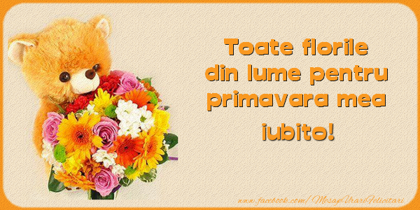 Felicitari de 1 Martie pentru Iubita - Toate florile din lume pentru primavara mea! iubito