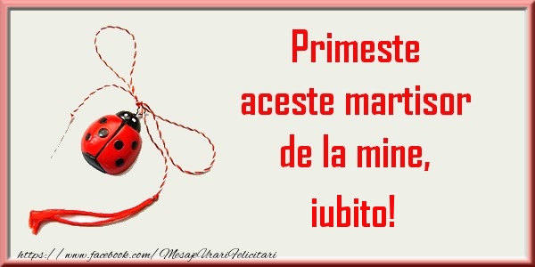 Felicitari de 1 Martie pentru Iubita - Primeste aceste martisor de la mine, iubito