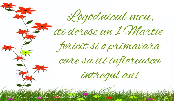 Felicitari de 1 Martie pentru Logodnic - Logodnicul meu iti doresc un 1 Martie  fericit si o primavara care sa iti infloreasca intregul an!