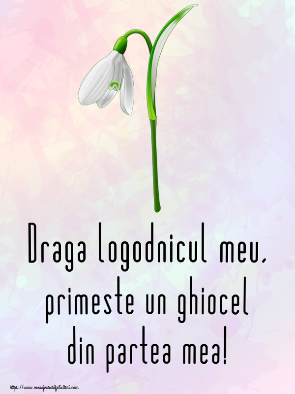 Felicitari de 1 Martie pentru Logodnic - Draga logodnicul meu, primeste un ghiocel din partea mea!