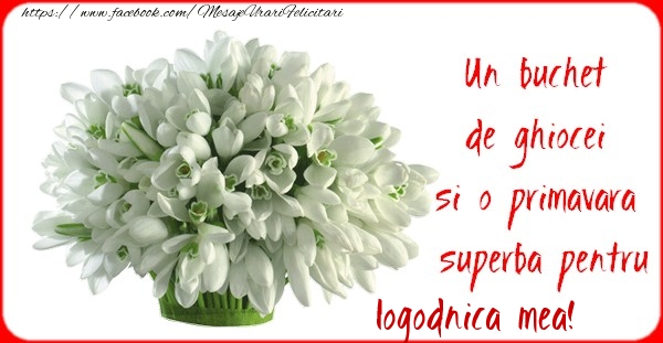 Felicitari de 1 Martie pentru Logodnica - Un buchet de ghiocei si o primavara superba pentru logodnica mea