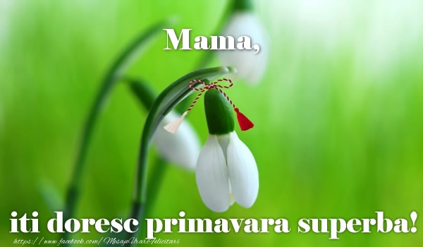 Felicitari de 1 Martie pentru Mama - Mama iti doresc primavara superba!