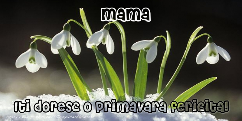 Felicitari de 1 Martie pentru Mama - Mama Iti doresc o primavara fericita!
