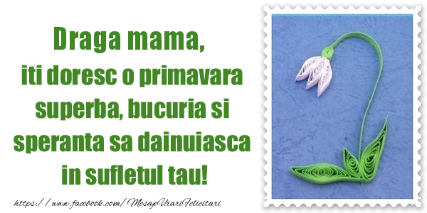 Felicitari de 1 Martie pentru Mama - Draga mama iti doresc o primavara superba, bucuria si  speranta sa dainuiasca in sufletul tau!