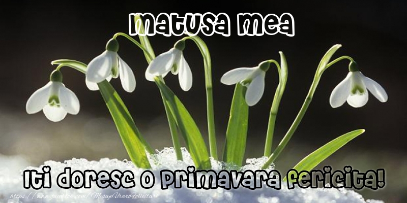 Felicitari de 1 Martie pentru Matusa - Matusa mea Iti doresc o primavara fericita!