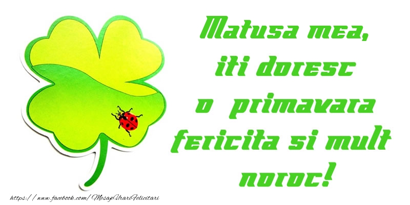 Felicitari de 1 Martie pentru Matusa - Matusa mea iti doresc o primavara fericita si mult noroc!