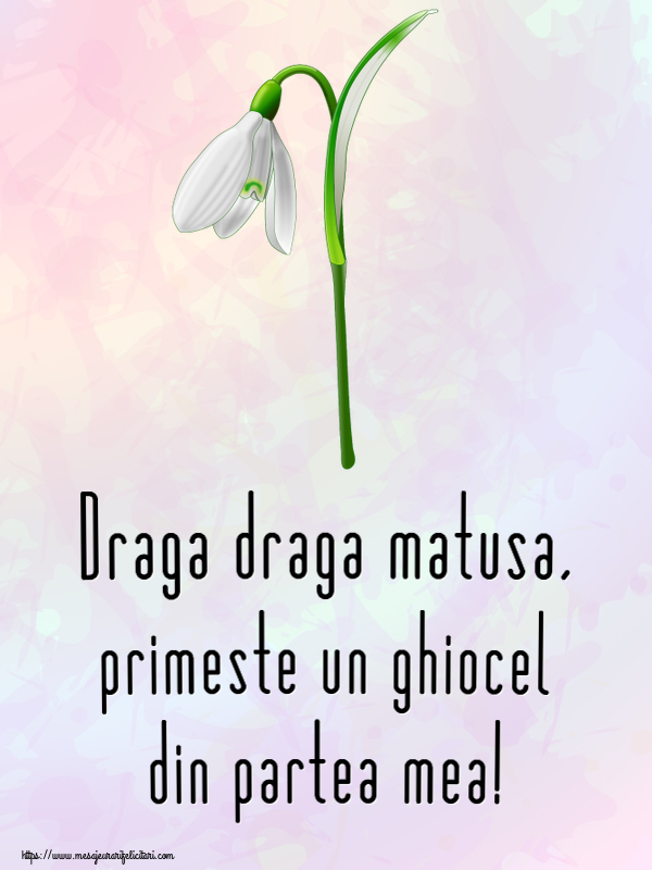 Felicitari de 1 Martie pentru Matusa - Draga draga matusa, primeste un ghiocel din partea mea!