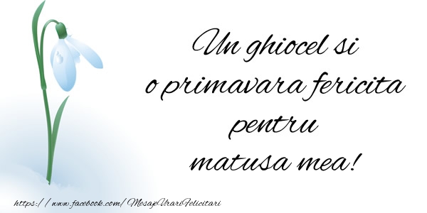 Felicitari de 1 Martie pentru Matusa - Un ghiocel si o primavara fericita pentru matusa mea!