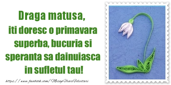 Felicitari de 1 Martie pentru Matusa - Draga matusa iti doresc o primavara superba, bucuria si  speranta sa dainuiasca in sufletul tau!