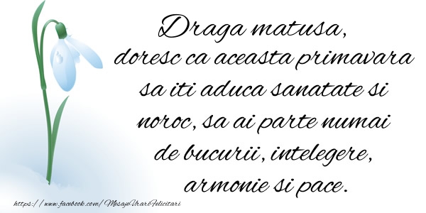 Felicitari de 1 Martie pentru Matusa - Draga matusa doresc ca aceasta primavara sa iti aduca sanatate si noroc ...