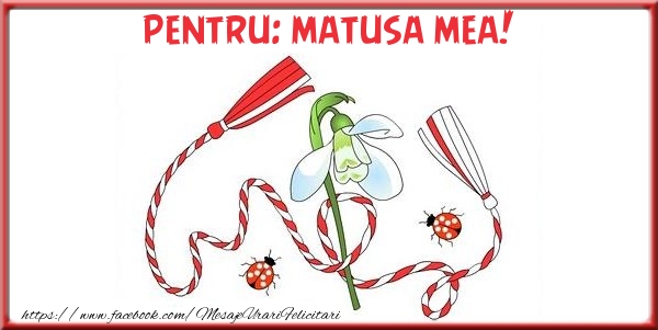 Felicitari de 1 Martie pentru Matusa - Pentru matusa mea!