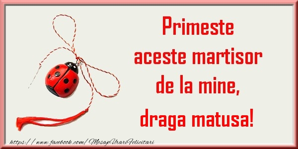 Felicitari de 1 Martie pentru Matusa - Primeste aceste martisor de la mine, draga matusa