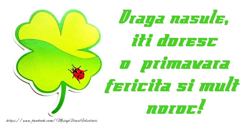 Felicitari de 1 Martie pentru Nas - Draga nasule iti doresc o primavara fericita si mult noroc!