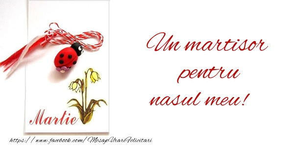Felicitari de 1 Martie pentru Nas - Un martisor pentru nasul meu!