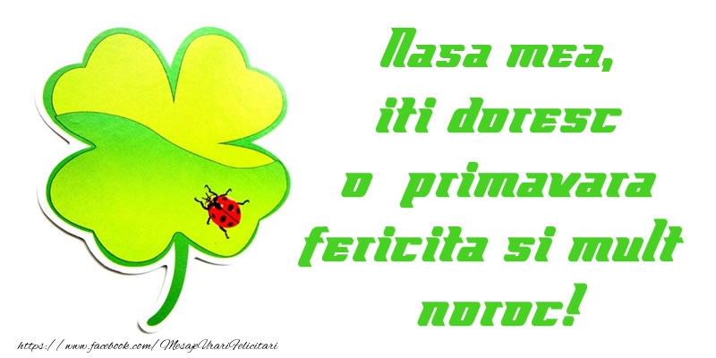 Felicitari de 1 Martie pentru Nasa - Nasa mea iti doresc o primavara fericita si mult noroc!