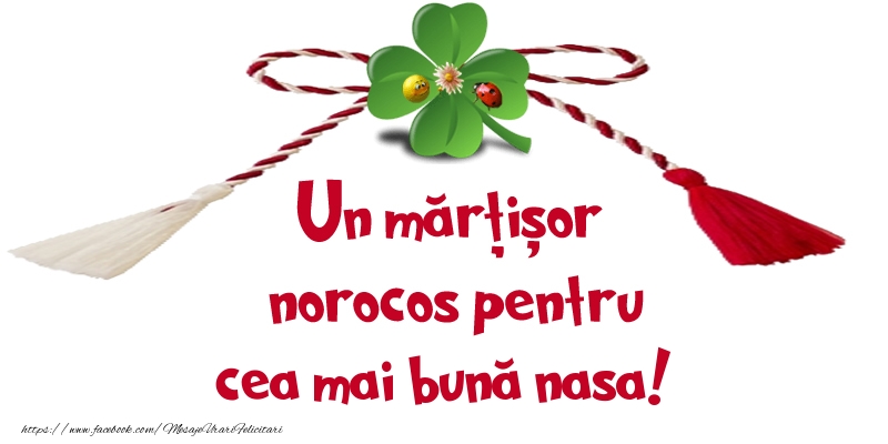 1 Martie Un mărțișor norocos pentru cea mai bună nasa!