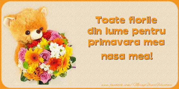 Felicitari de 1 Martie pentru Nasa - Toate florile din lume pentru primavara mea! nasa mea
