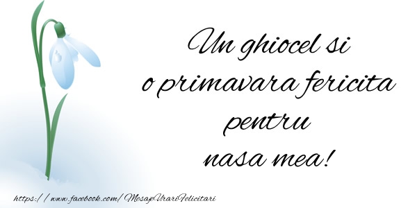 Felicitari de 1 Martie pentru Nasa - Un ghiocel si o primavara fericita pentru nasa mea!