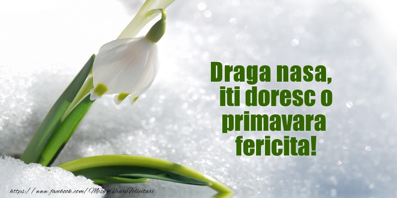 Felicitari de 1 Martie pentru Nasa - Draga nasa, iti doresc o primavara fericita!