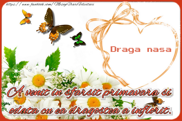 Felicitari de 1 Martie pentru Nasa - Draga nasa