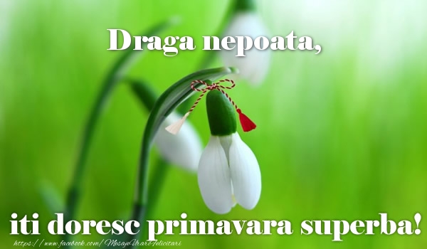 Felicitari de 1 Martie pentru Nepoata - Draga nepoata iti doresc primavara superba!