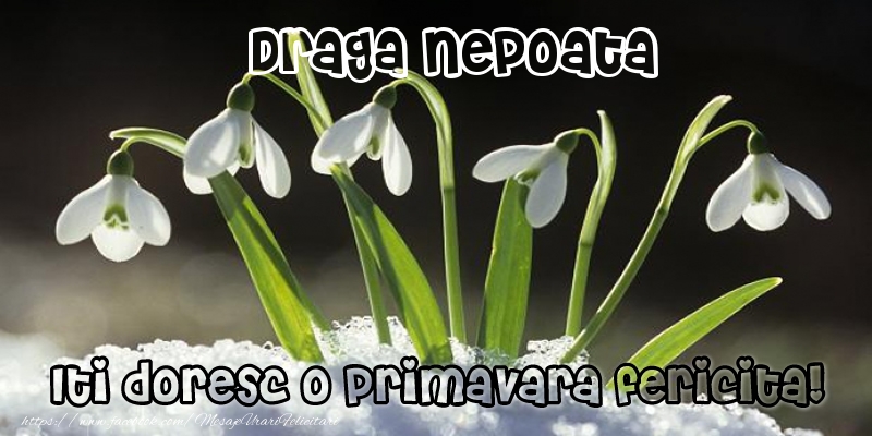 Felicitari de 1 Martie pentru Nepoata - Draga nepoata Iti doresc o primavara fericita!