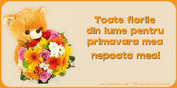 Felicitari de 1 Martie pentru Nepoata - Toate florile din lume pentru primavara mea! nepoata mea